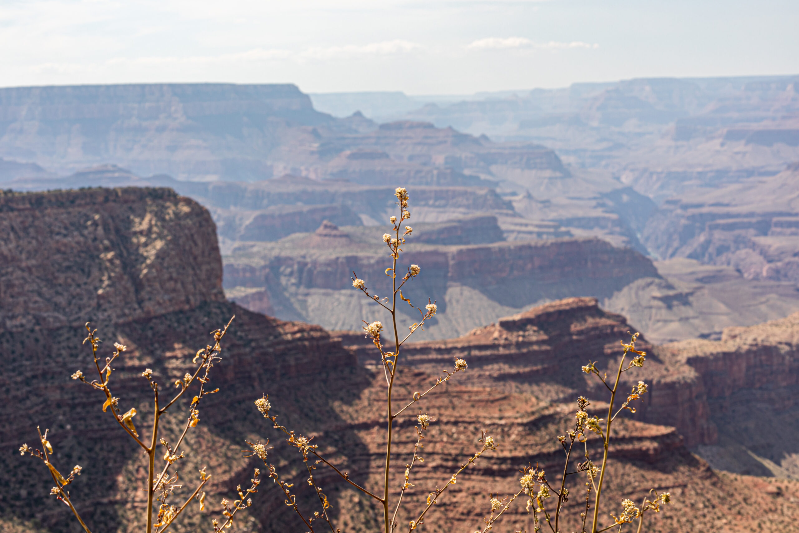 WONDERS OF OUR PLANET, Road Trip the USA by Camille Massida Photography